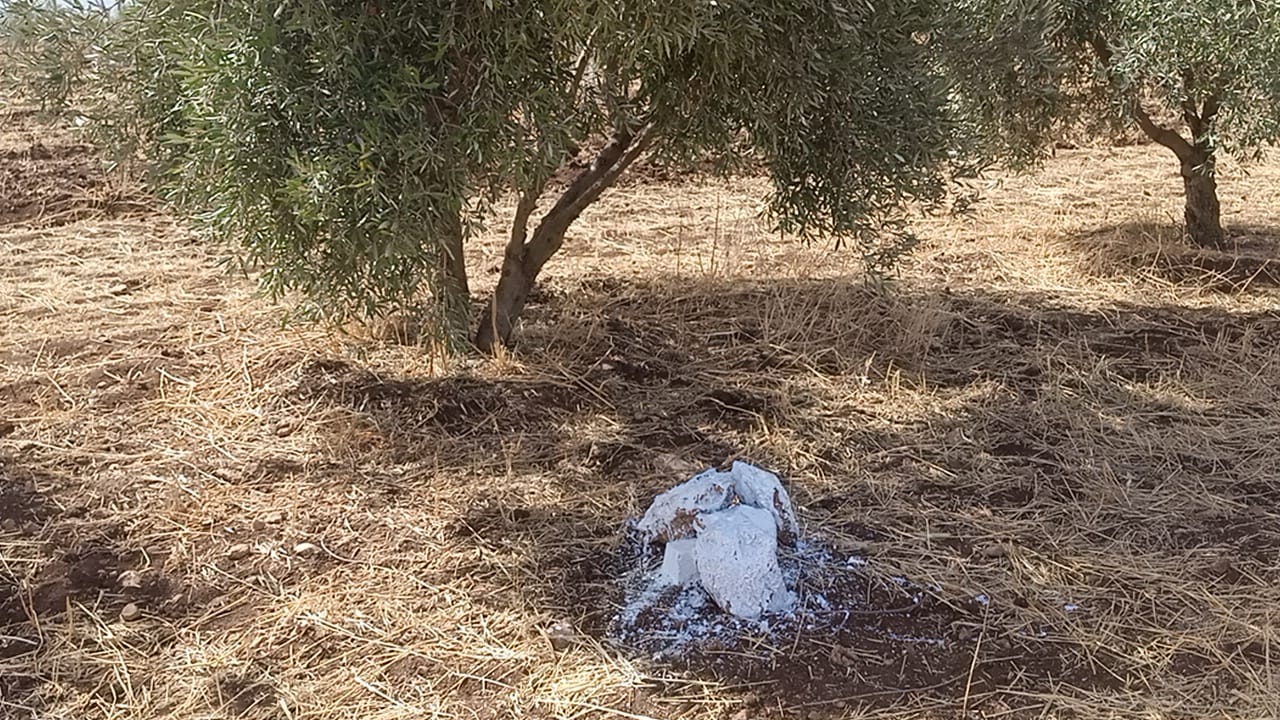 Image 14